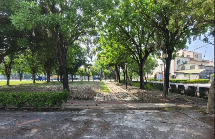施工前，樹林環繞的空地
